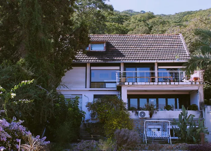 Casa de huéspedes: Lapacho Hostel Salta Coliving